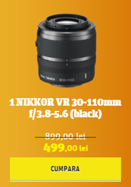 1 NIKKOR VR 30-110mm f/3.8-5.6 (black)